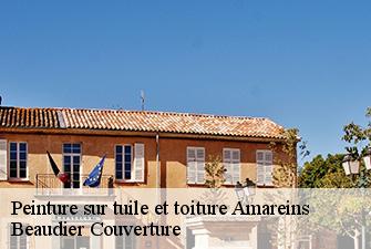 Peinture sur tuile et toiture  amareins-01090 Beaudier Couverture 