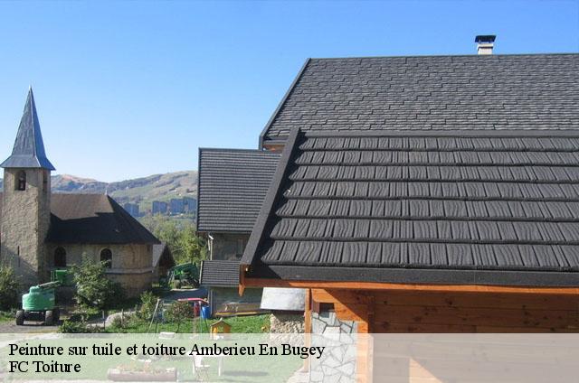 Peinture sur tuile et toiture  amberieu-en-bugey-01500 