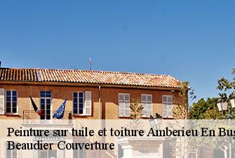 Peinture sur tuile et toiture  amberieu-en-bugey-01500 Beaudier Couverture 