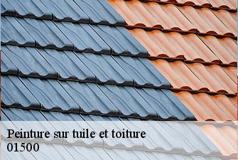 Peinture sur tuile et toiture  amberieu-en-bugey-01500 Beaudier Couverture 