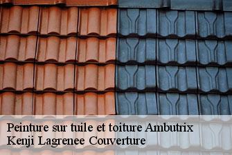 Peinture sur tuile et toiture  ambutrix-01500 Kenji Lagrenee Couverture