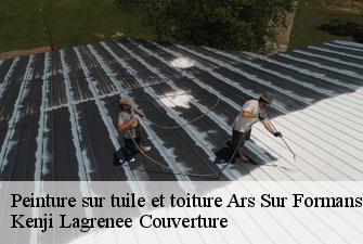 Peinture sur tuile et toiture  ars-sur-formans-01480 Kenji Lagrenee Couverture