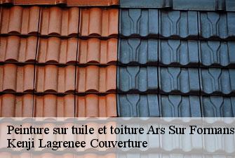 Peinture sur tuile et toiture  ars-sur-formans-01480 Kenji Lagrenee Couverture
