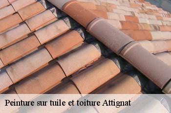 Peinture sur tuile et toiture  attignat-01340 