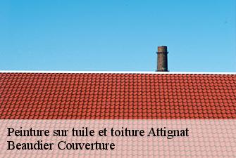 Peinture sur tuile et toiture  attignat-01340 Beaudier Couverture 