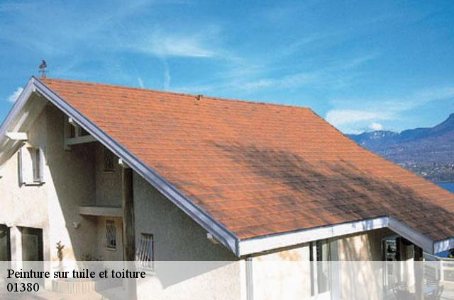 Peinture sur tuile et toiture  bage-la-ville-01380 