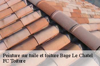 Peinture sur tuile et toiture  bage-le-chatel-01380 