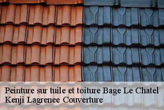 Peinture sur tuile et toiture  bage-le-chatel-01380 Kenji Lagrenee Couverture
