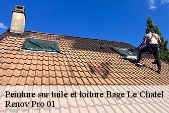 Peinture sur tuile et toiture  bage-le-chatel-01380 Renov Pro 01