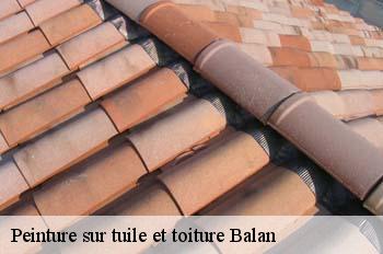 Peinture sur tuile et toiture  balan-01360 