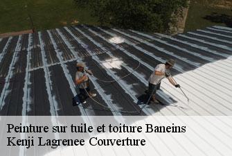 Peinture sur tuile et toiture  baneins-01990 Kenji Lagrenee Couverture