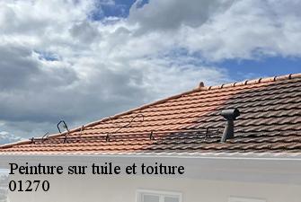 Peinture sur tuile et toiture  beaupont-01270 Renov Pro 01