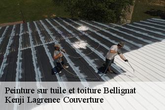 Peinture sur tuile et toiture  bellignat-01810 Kenji Lagrenee Couverture