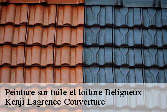 Peinture sur tuile et toiture beligneux-01360 Kenji Lagrenee Couverture