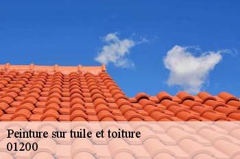 Peinture sur tuile et toiture  bellegarde-sur-valserine-01200 