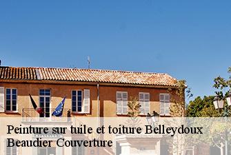 Peinture sur tuile et toiture  belleydoux-01130 Beaudier Couverture 