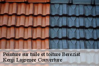 Peinture sur tuile et toiture bereziat-01340 Kenji Lagrenee Couverture