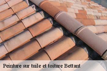 Peinture sur tuile et toiture  bettant-01500 