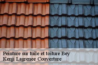 Peinture sur tuile et toiture  bey-01290 Kenji Lagrenee Couverture
