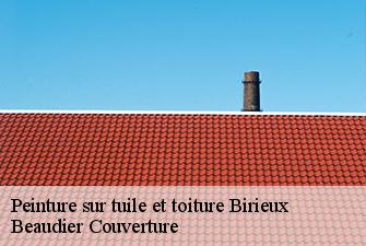 Peinture sur tuile et toiture  birieux-01330 Beaudier Couverture 