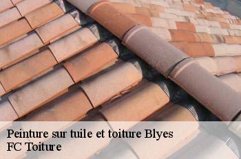 Peinture sur tuile et toiture  blyes-01150 