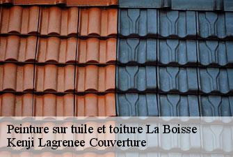 Peinture sur tuile et toiture la-boisse-01120 Kenji Lagrenee Couverture