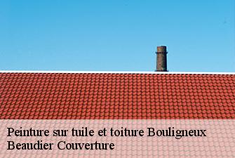 Peinture sur tuile et toiture  bouligneux-01330 Beaudier Couverture 