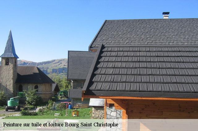 Peinture sur tuile et toiture  bourg-saint-christophe-01800 