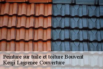 Peinture sur tuile et toiture  bouvent-01100 Kenji Lagrenee Couverture