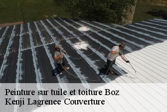 Peinture sur tuile et toiture boz-01190 Kenji Lagrenee Couverture