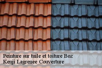 Peinture sur tuile et toiture boz-01190 Kenji Lagrenee Couverture
