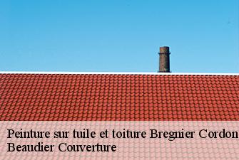 Peinture sur tuile et toiture  bregnier-cordon-01300 Beaudier Couverture 