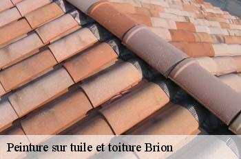 Peinture sur tuile et toiture  brion-01460 