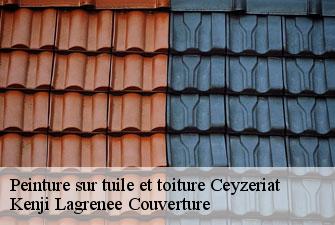 Peinture sur tuile et toiture ceyzeriat-01250 Kenji Lagrenee Couverture