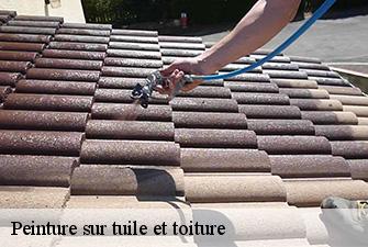 Peinture sur tuile et toiture  ceyzeriat-01250 Renov Pro 01