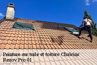 Peinture sur tuile et toiture  chaleins-01480 Renov Pro 01
