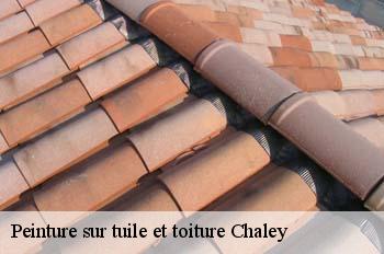 Peinture sur tuile et toiture  chaley-01230 