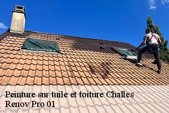 Peinture sur tuile et toiture  challes-01450 Renov Pro 01
