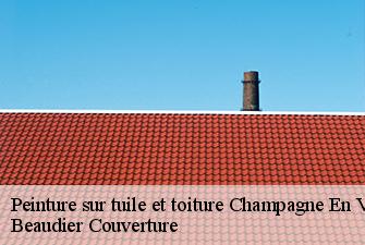 Peinture sur tuile et toiture  champagne-en-valromey-01260 Beaudier Couverture 