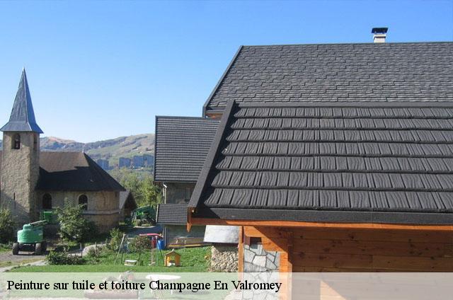 Peinture sur tuile et toiture  champagne-en-valromey-01260 