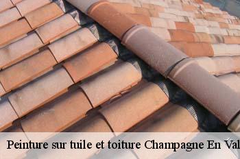 Peinture sur tuile et toiture  champagne-en-valromey-01260 