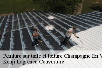 Peinture sur tuile et toiture champagne-en-valromey-01260 Kenji Lagrenee Couverture