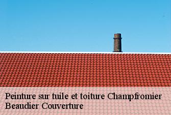 Peinture sur tuile et toiture  champfromier-01410 Beaudier Couverture 