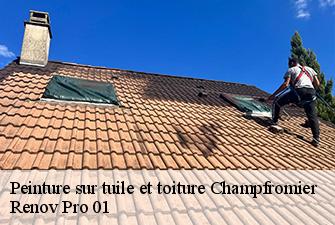 Peinture sur tuile et toiture  champfromier-01410 Renov Pro 01