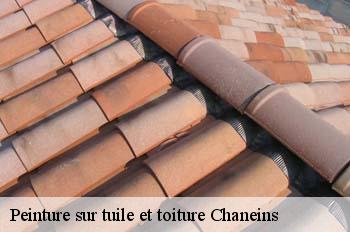 Peinture sur tuile et toiture  chaneins-01990 