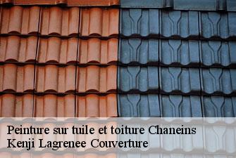 Peinture sur tuile et toiture chaneins-01990 Kenji Lagrenee Couverture