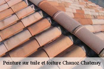 Peinture sur tuile et toiture  chanoz-chatenay-01400 