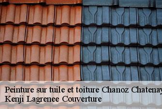Peinture sur tuile et toiture chanoz-chatenay-01400 Kenji Lagrenee Couverture