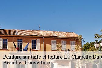Peinture sur tuile et toiture  la-chapelle-du-chatelard-01240 Beaudier Couverture 
