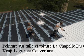 Peinture sur tuile et toiture la-chapelle-du-chatelard-01240 Kenji Lagrenee Couverture